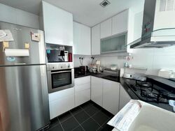 Signature Park (D21), Condominium #479661911